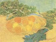 Vincent Van Gogh Still life:Oranges,Lomons and Blue Gloves (nn04) France oil painting reproduction